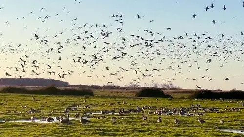 Countryfile S35E8 • Oglądaj Online
