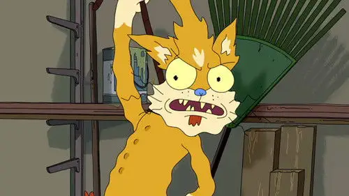 Rick y Morty Temporada 1 Episodios 11 • Sub Español