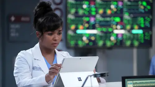 Anatomía de Grey Temporada 21 Episodios 13 • Sub Español