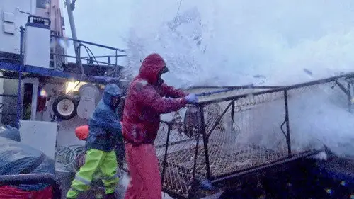 Pesca radical Temporada 12 Episodios 9 • Sub Español