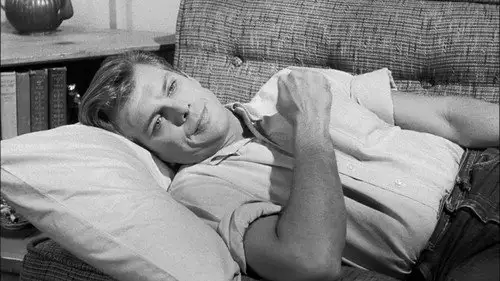 Perry Mason Temporada 4 Episodios 18 • Sub Español