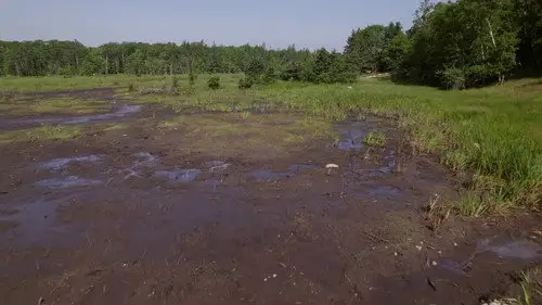 La maldición de Oak Island Temporada 11 Episodios 12 • Sub Español