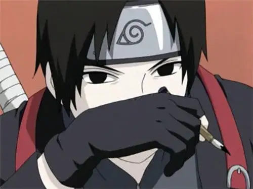 Naruto Shippuden Temporada 2 Episodios 33 • Sub Español