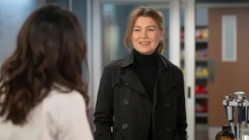 Anatomía de Grey Temporada 20 Episodios 3 • Sub Español