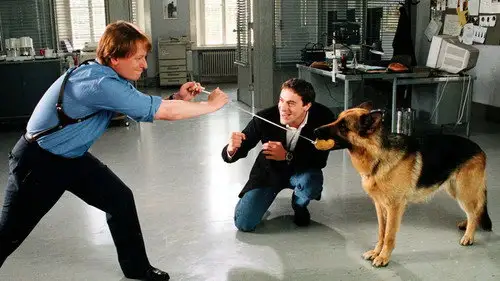 Rex, un policía diferente Temporada 5 Episodios 5 • Sub Español