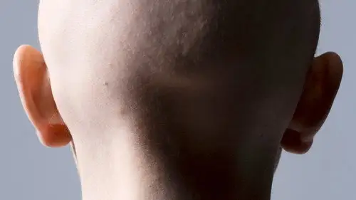 NOVA Temporada 43 Cap 15 • Español Online