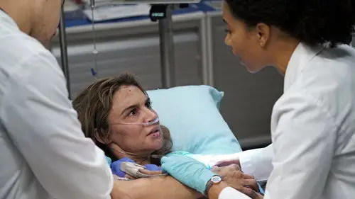 Anatomía de Grey Temporada 13 Cap 14 • Español Online