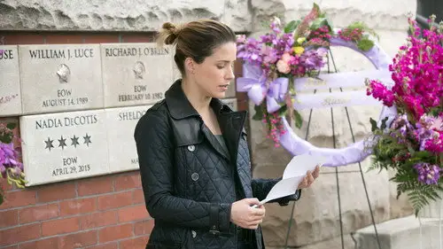 Chicago P.D. Temporada 2 Episodios 21 • Sub Español