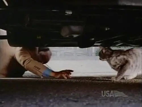 Nash Bridges Temporada 6 Episodios 4 • Sub Español