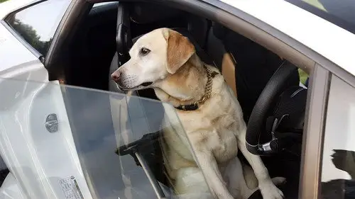 Top Gear Temporada 12 Episodios 1 • Sub Español