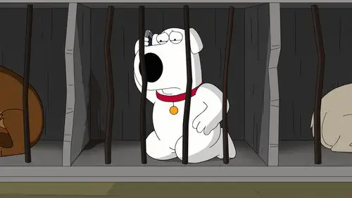 Padre de familia Temporada 16 Cap 15 • Español Online