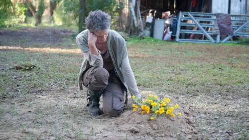 The Walking Dead Temporada 4 Episodios 14 • Sub Español
