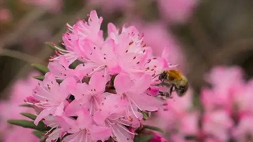 Countryfile S37E16 • Oglądaj Online