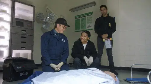 Navy: Investigación criminal Temporada 19 Episodios 14 • Sub Español
