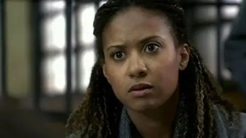 Caso abierto Temporada 7 Episodios 11 • Sub Español