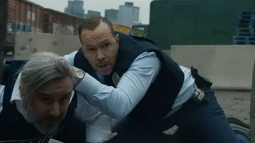 Familia de policías Temporada 14 Episodios 12 • Sub Español