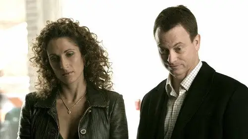 CSI: Nueva York Temporada 2 Episodios 10 • Sub Español