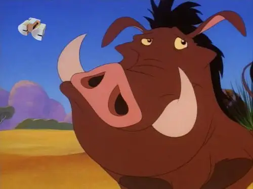 Timón y Pumba Temporada 1 Episodios 9 • Sub Español