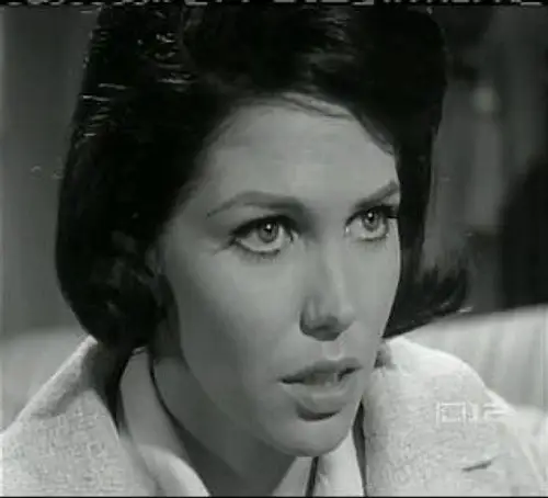 Perry Mason Temporada 8 Episodios 20 • Sub Español