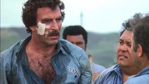 Magnum 1980 Temporada 5 Episodios 22 • Sub Español