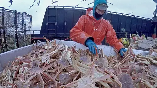 Pesca radical Temporada 12 Episodios 16 • Sub Español