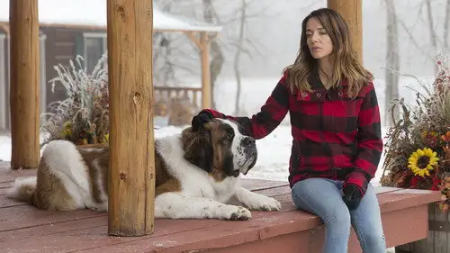 Heartland Temporada 6 Episodios 15 • Sub Español