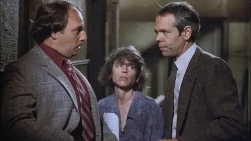 Canción triste de Hill Street Temporada 6 Episodios 4 • Sub Español