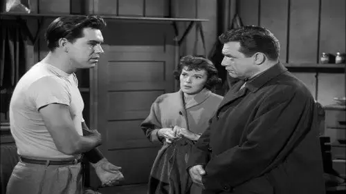 Perry Mason Temporada 3 Episodios 11 • Sub Español
