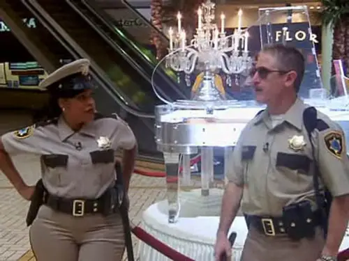 Reno 911! Temporada 3 Episodios 8 • Sub Español