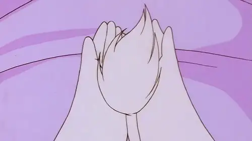 Los Moomin Temporada 2 Episodios 5 • Sub Español