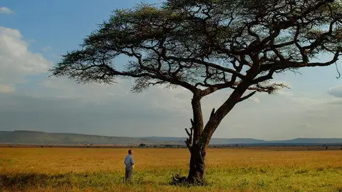 Nature S38E2 • Oglądaj Online