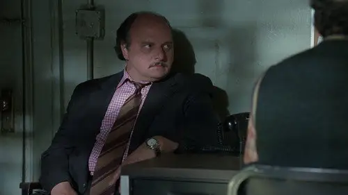 NYPD Blue Temporada 4 Cap 21 • Español Online