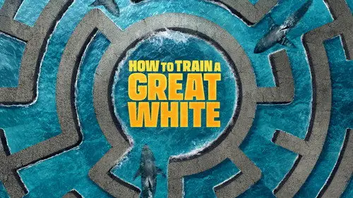 Shark Week S39E14 • Oglądaj Online