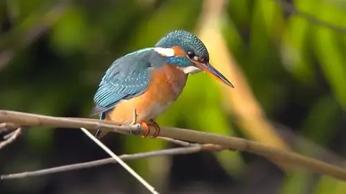 Countryfile S36E12 • Oglądaj Online
