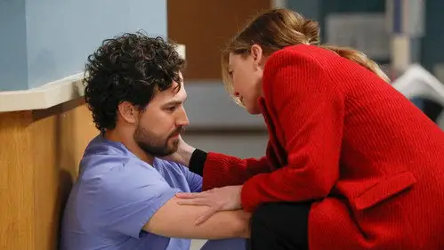 Anatomía de Grey Temporada 16 Cap 21 • Español Online