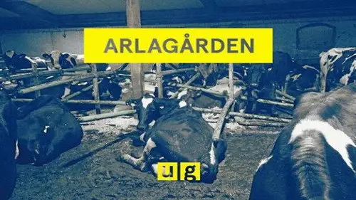 Uppdrag granskning Temporada 20 Episodios 3 • Sub Español