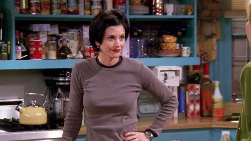 Friends Temporada 4 Episodios 9 • Sub Español