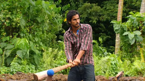 Survivor Temporada 19 Episodios 8 • Sub Español