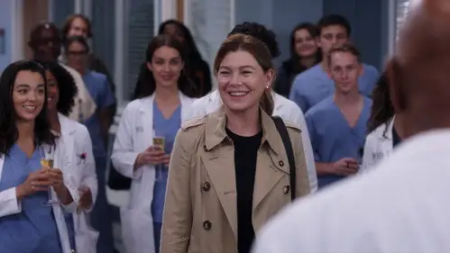 Anatomía de Grey Temporada 19 Cap 7 • Español Online