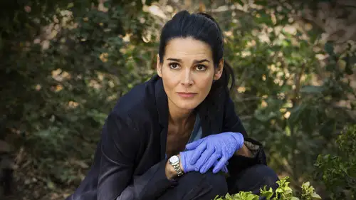 Rizzoli & Isles Temporada 7 Episodios 9 • Sub Español
