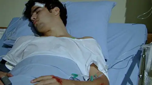 Fina Estampa Temporada 1 Episodios 16 • Sub Español