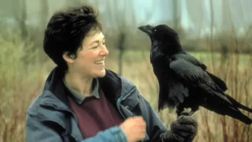 Nature S20E12 • Oglądaj Online