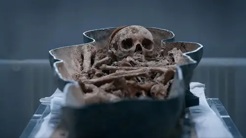 NOVA Temporada 51 Cap 18 • Español Online