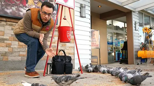 Superstore Temporada 5 Episodios 8 • Sub Español