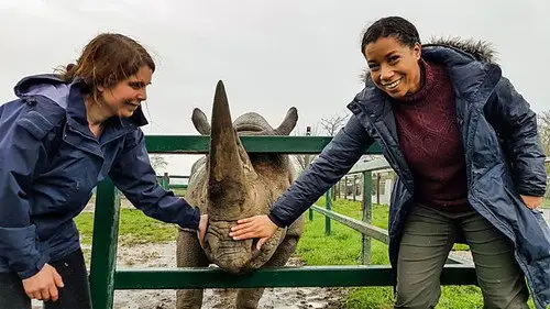 Countryfile S32E2 • Oglądaj Online