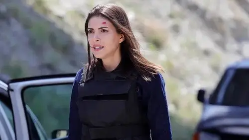 Teşkilat Temporada 1 Episodios 14 • Sub Español