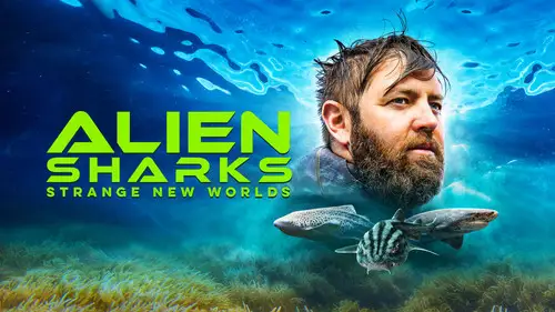 Shark Week S36E7 • Oglądaj Online