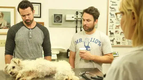 Colgados en Filadelfia Temporada 14 Episodios 9 • Sub Español