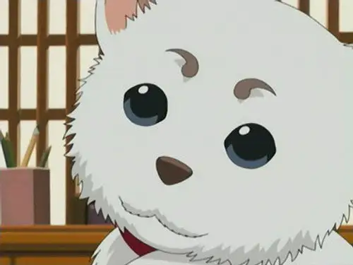 Gintama Temporada 1 Episodios 10 • Sub Español