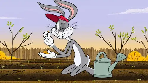 The New Looney Tunes Temporada 1 Episodios 23 • Sub Español